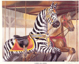 Large Zebra